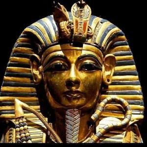 Meet your Posher, Virgil